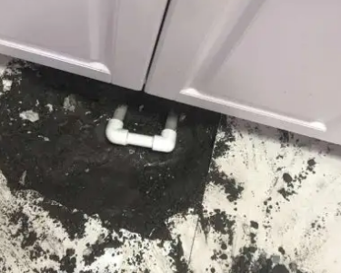 绥化查漏水哪家好